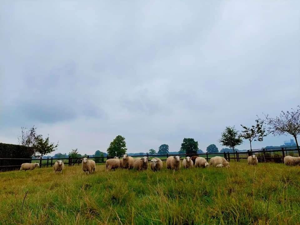 De Beredoezen - Sfeervolle Vakantiewoning In De Gezellige Kempen Retie Exteriér fotografie